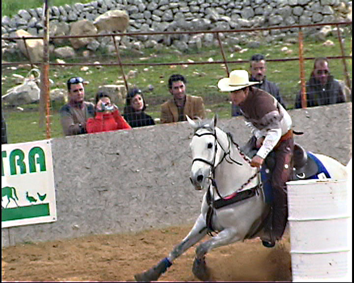 Lillo Antonio